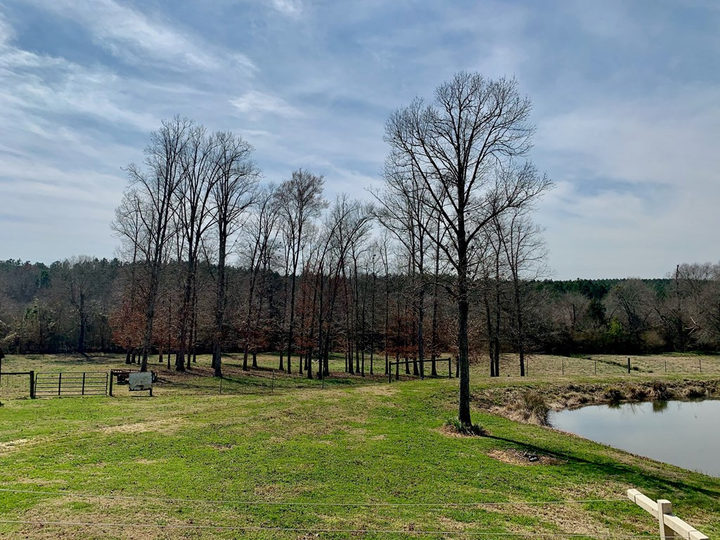 157 Wright Road Tignall, GA 30668 - Photo 27 of 54