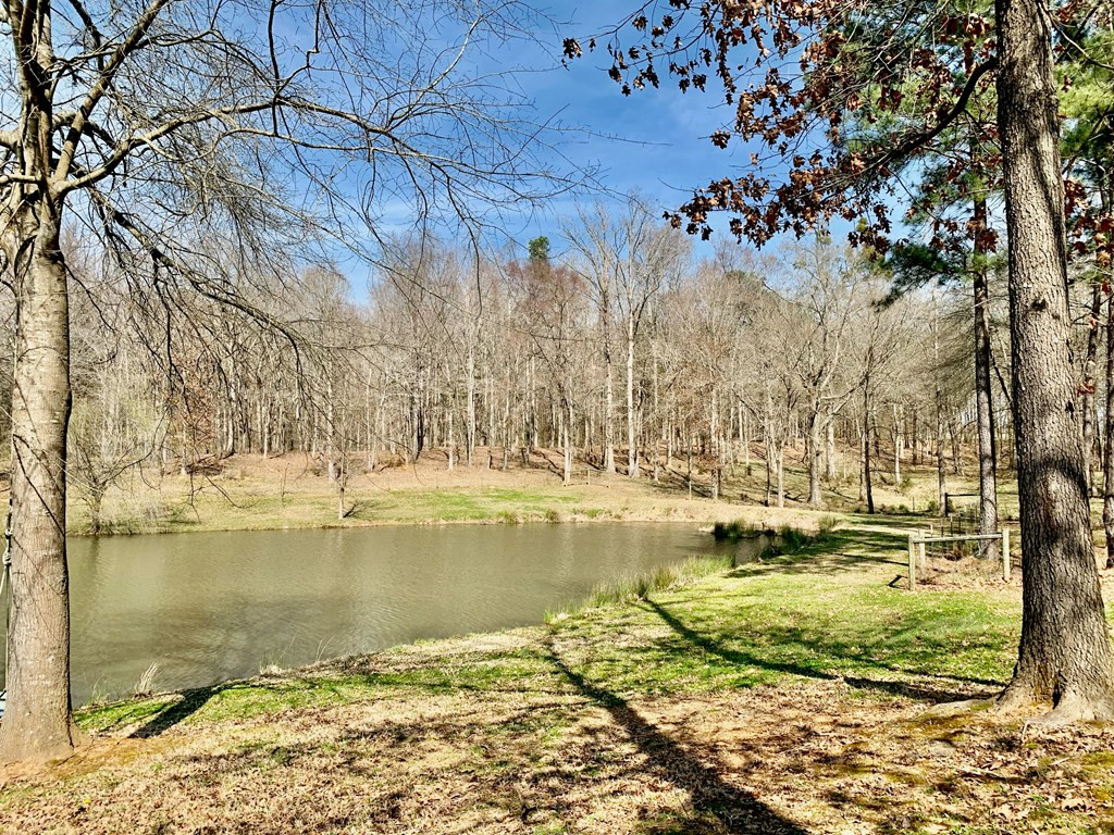 157 Wright Road Tignall, GA 30668 - Photo 3 of 54