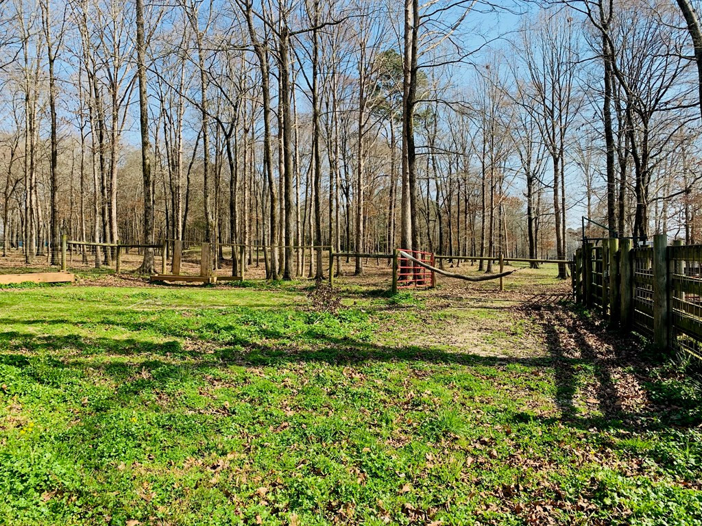 157 Wright Road Tignall, GA 30668 - Photo 5 of 54