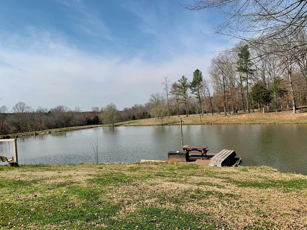 157 Wright Road Tignall, GA 30668 - Photo 7 of 54