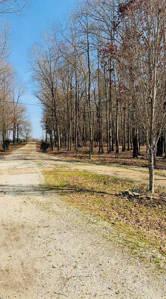 157 Wright Road Tignall, GA 30668 - Photo 9 of 54
