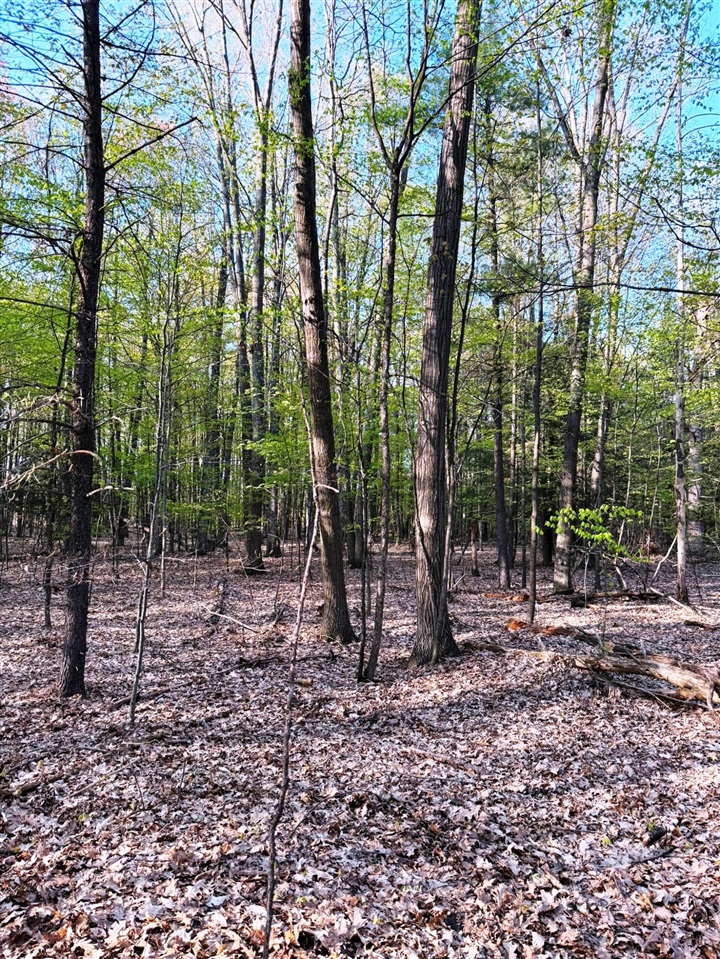 0 West Adams Road Hesperia, MI 49421 - Photo 21 of 74