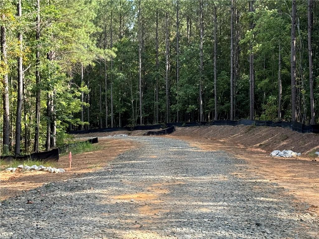 451 Lone Bear Path Dallas, GA 30132 - Photo 2 of 5 a view of basketball court