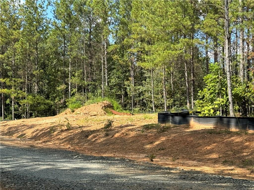 451 Lone Bear Path Dallas, GA 30132 - Photo 3 of 5 a view of a water pond with an outdoor space