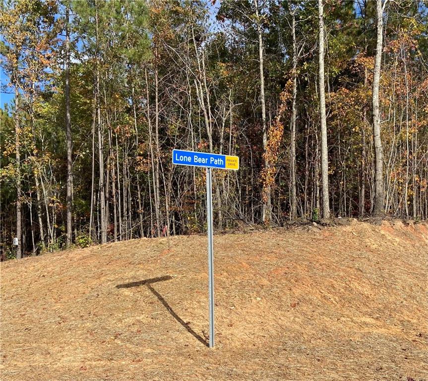 451 Lone Bear Path Dallas, GA 30132 - Photo 4 of 5 a street sign on a sidewalk next to a road