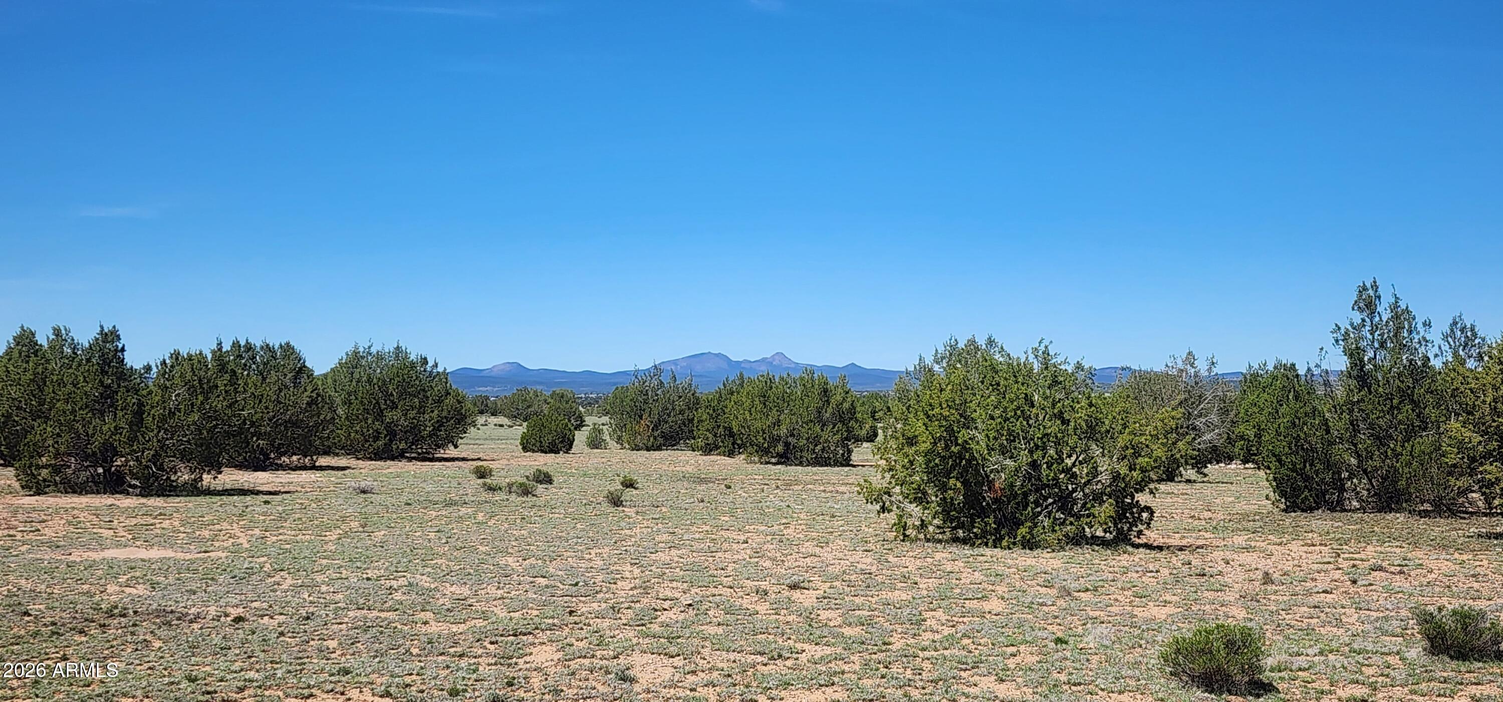 0 North Xxxxx Road, Unit 249A Ash Fork, AZ 86320 - Photo 11 of 15 a view of a dry yard with trees in the background