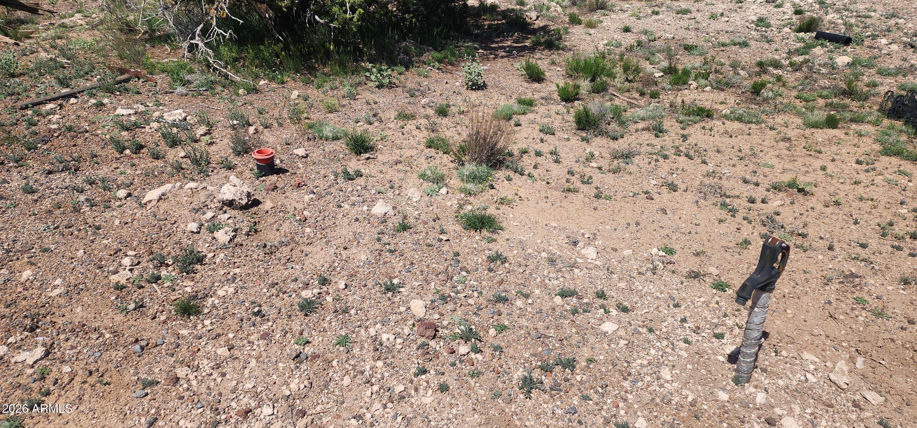 0 North Xxxxx Road, Unit 249A Ash Fork, AZ 86320 - Photo 6 of 15 a view of a yard with a tree