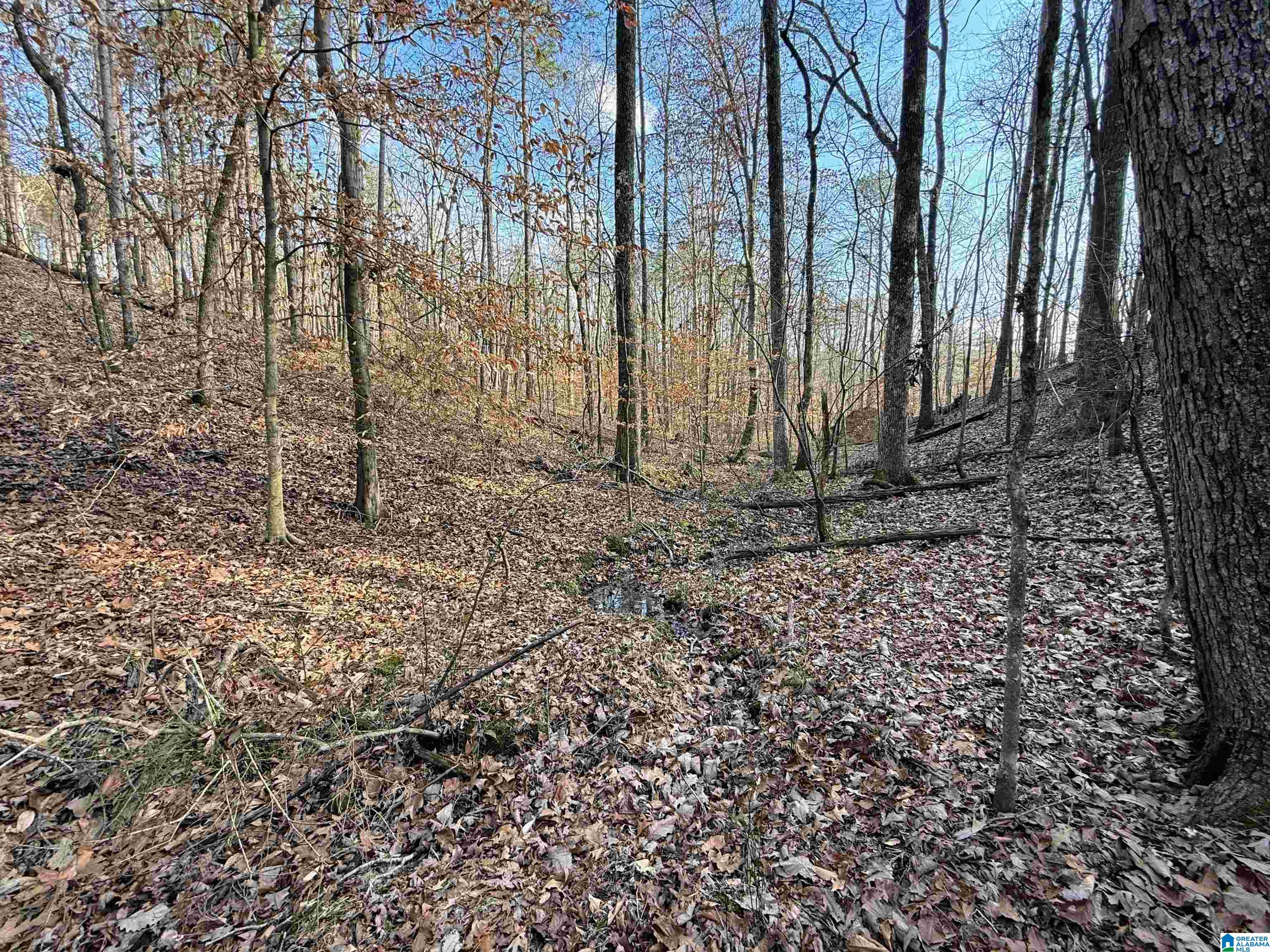 0 Deer Run Road Alabaster, AL 35007 - Photo 18 of 25
