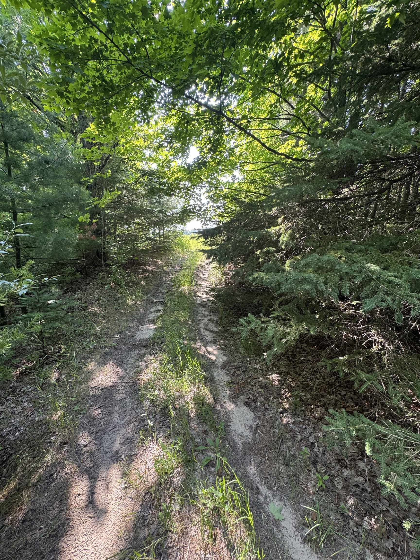 Lot #6 East Bellinger Road, Unit 6 BELLINGER ESTATES (FIN) Cedar, MI 49621 - Photo 31 of 34