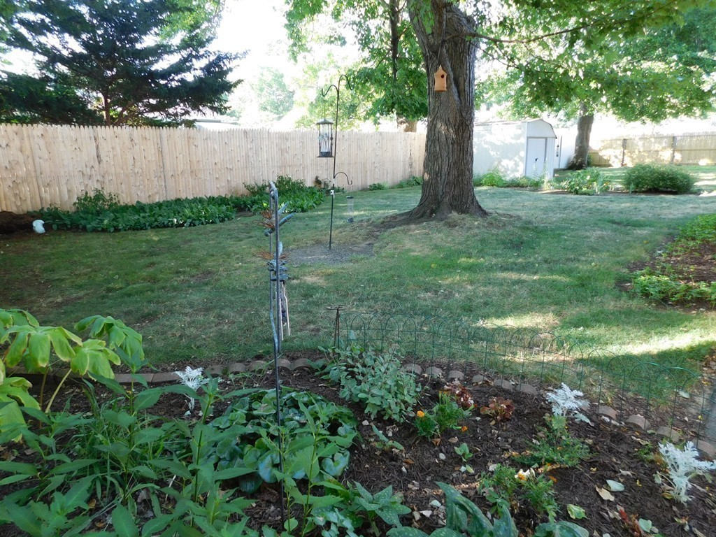 14 Barton Street Springfield, MA 01104 - Photo 25 of 29