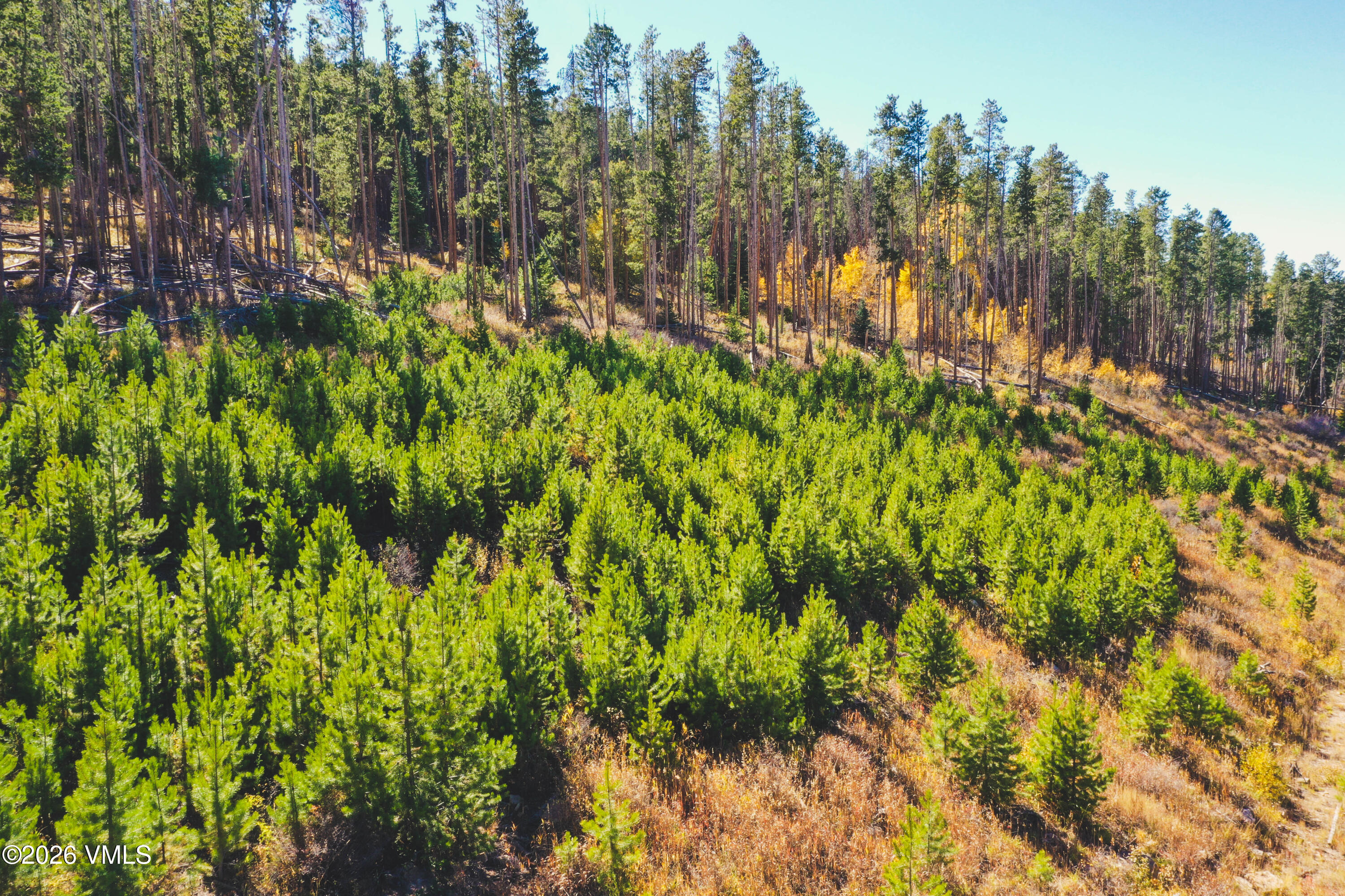 Lot 2 Bellyache Ridge Road Wolcott, CO 81655 - Photo 11 of 18 DJI_0922