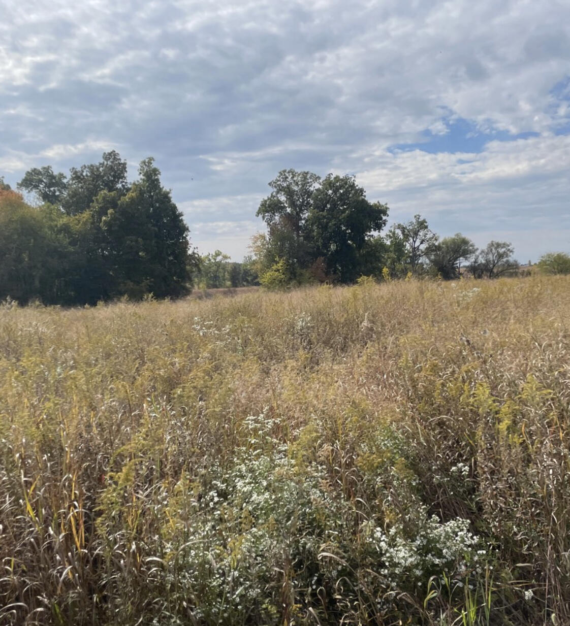 0 Morral-Kirkpatrick Road Morral, OH 43337 - Photo 17 of 24