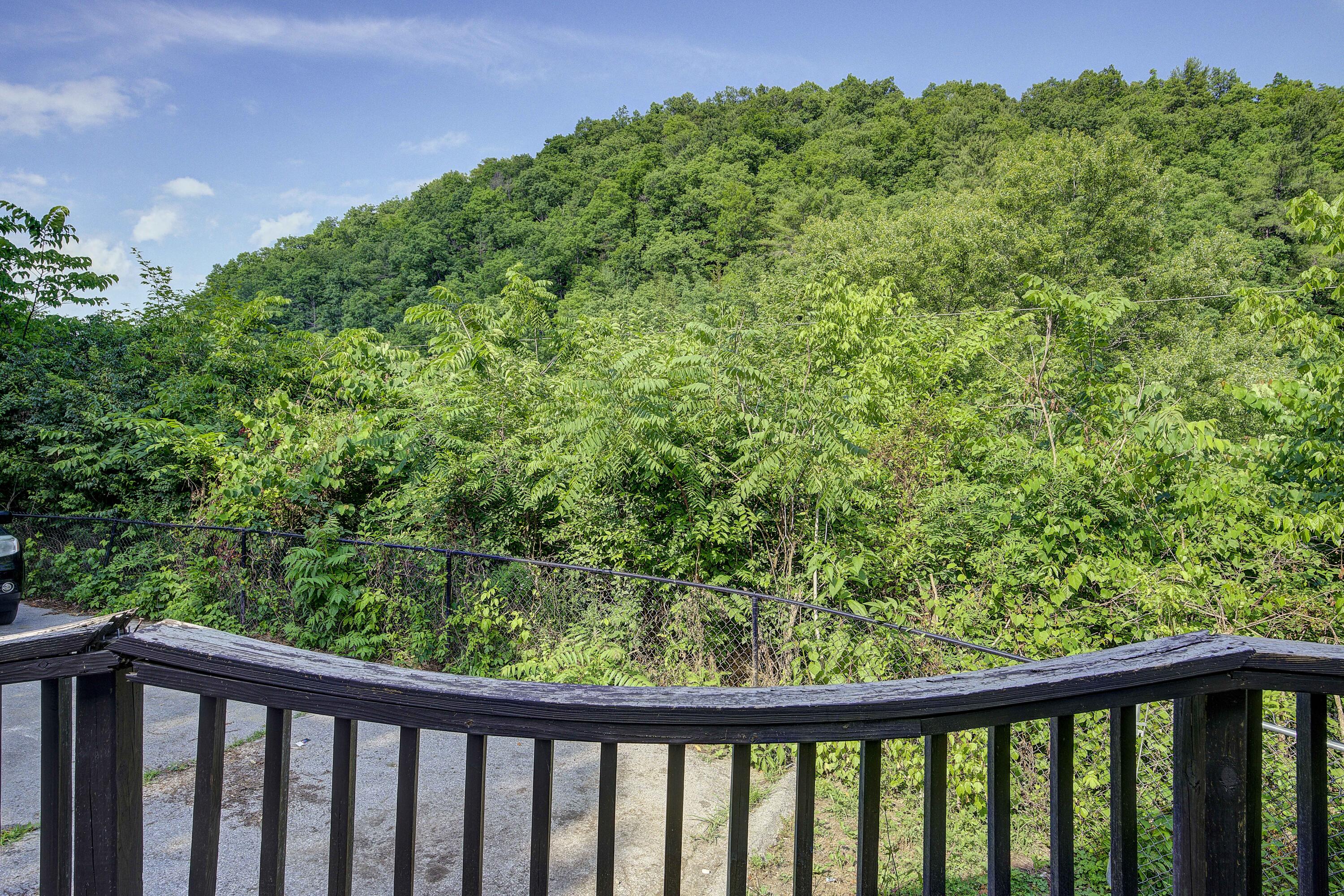 1366 Piney Flats Road Watauga, TN 37694 - Photo 28 of 30 piney-23