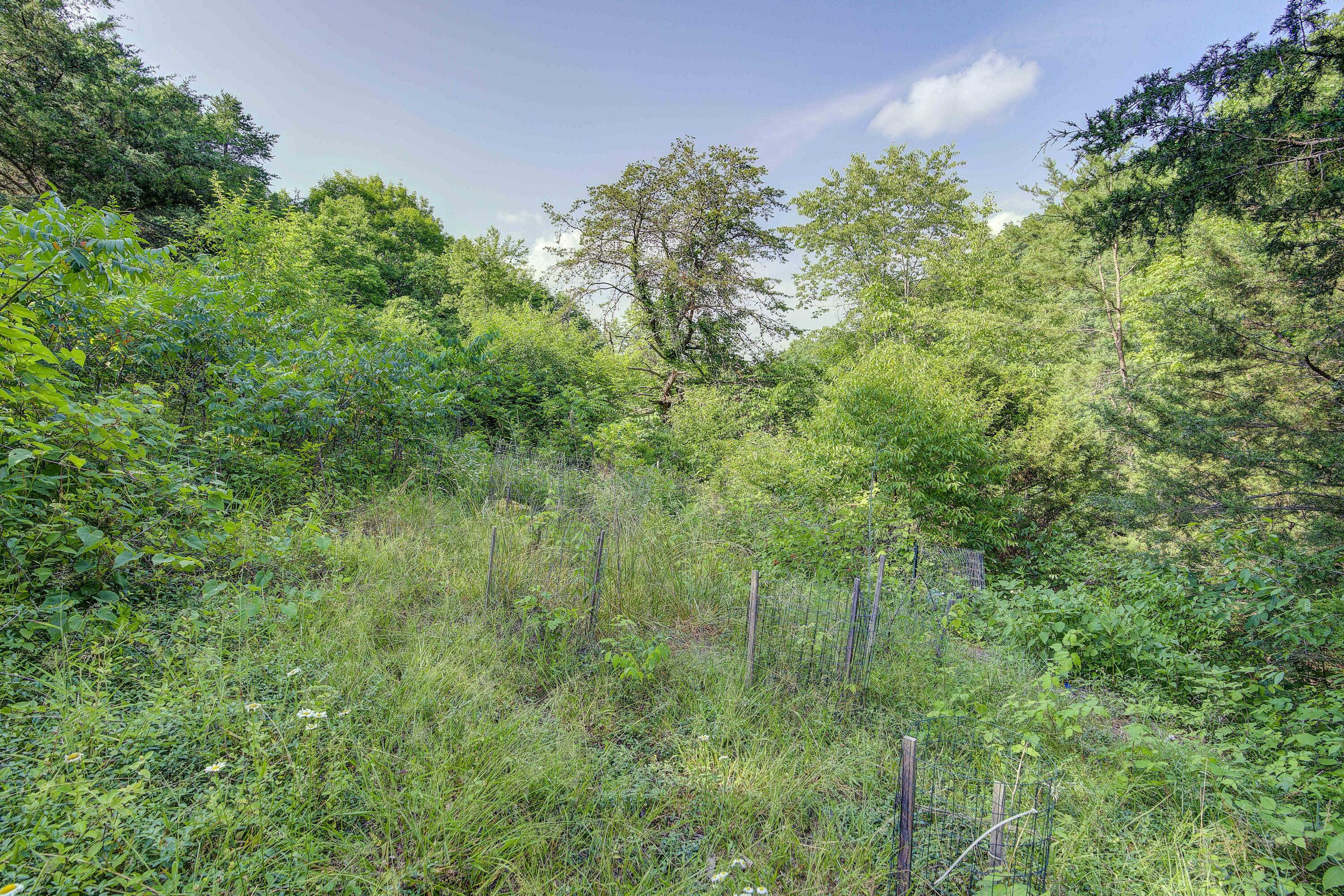 1366 Piney Flats Road Watauga, TN 37694 - Photo 29 of 30 piney-28