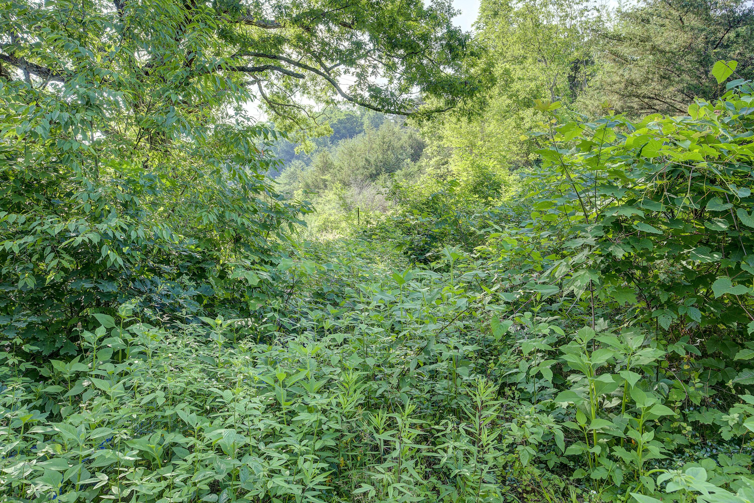 1366 Piney Flats Road Watauga, TN 37694 - Photo 30 of 30 piney-29