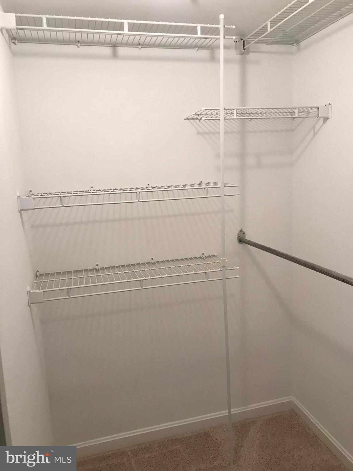 4952 Columbia Road, Unit 1 Columbia, MD 21044 - Photo 9 of 11 Walk in Closet with tons of storage