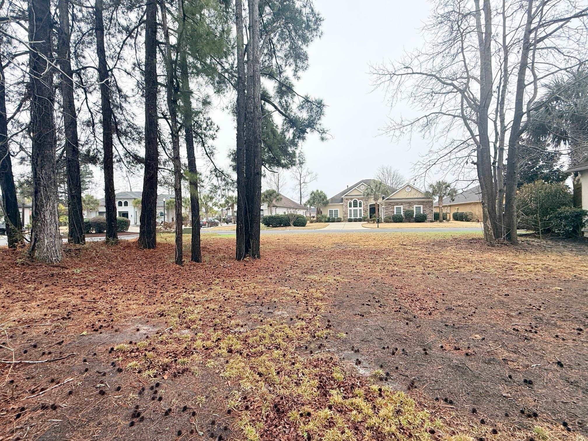 8012 Bird Key Court Myrtle Beach, SC 29579 - Photo 3 of 13