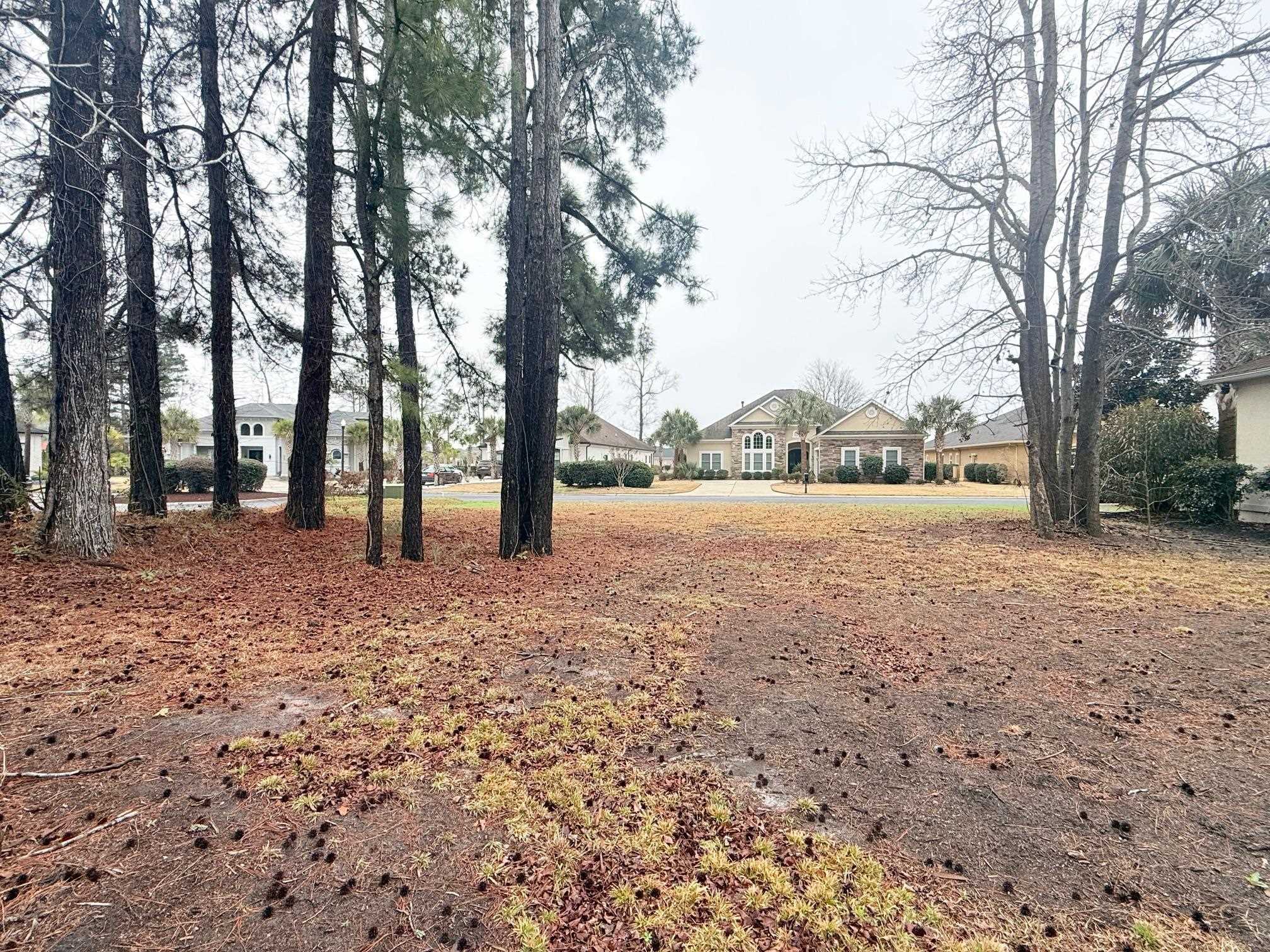8012 Bird Key Court Myrtle Beach, SC 29579 - Photo 4 of 13