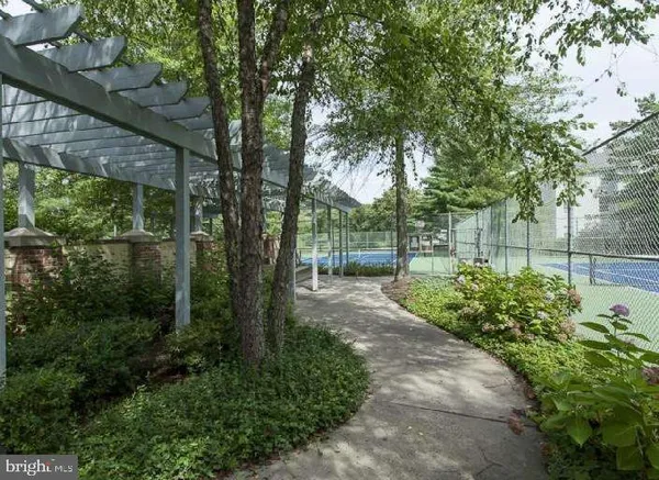 a view of a park with a tree