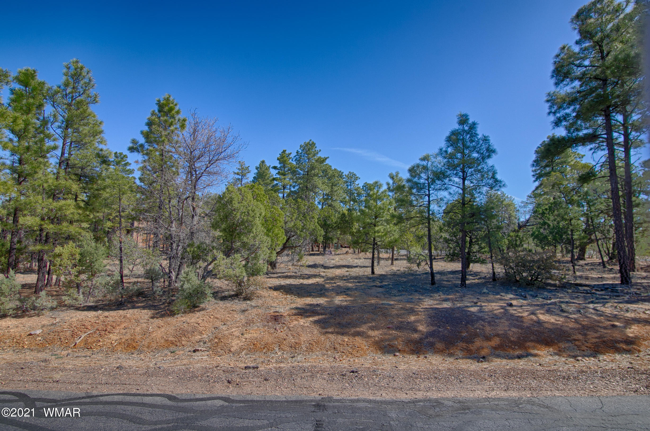 4160 West Hawthorn Road Show Low, AZ 85901 - Photo 4 of 22