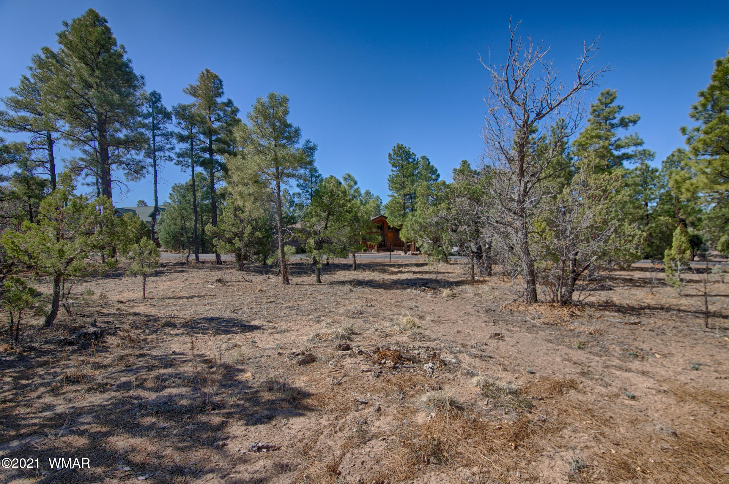 4160 West Hawthorn Road Show Low, AZ 85901 - Photo 5 of 22