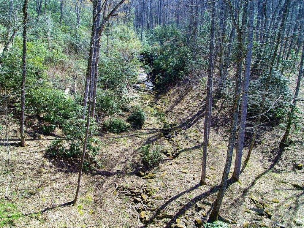5062 Caney Fork Road Cullowhee, NC 28723 - Photo 22 of 22 Gallery Image 22