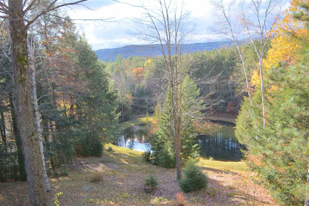 146 Chester Road Grantham, NH 03753 - Photo 4 of 4 Gallery Image 4