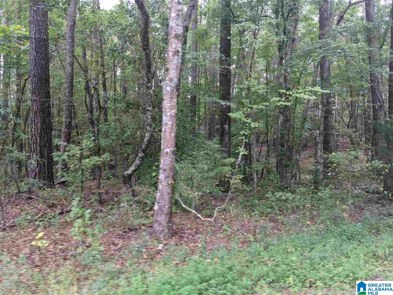 0 Smith Avenue, Unit 3 2 Anniston, AL 36207 - Photo 29 of 43