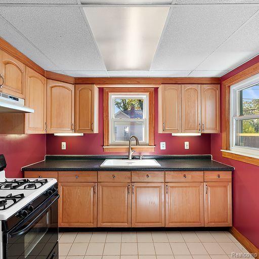 245 Stratford Road Ferndale, MI 48220 - Photo 6 of 12