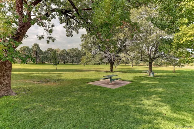 a view of a basketball court