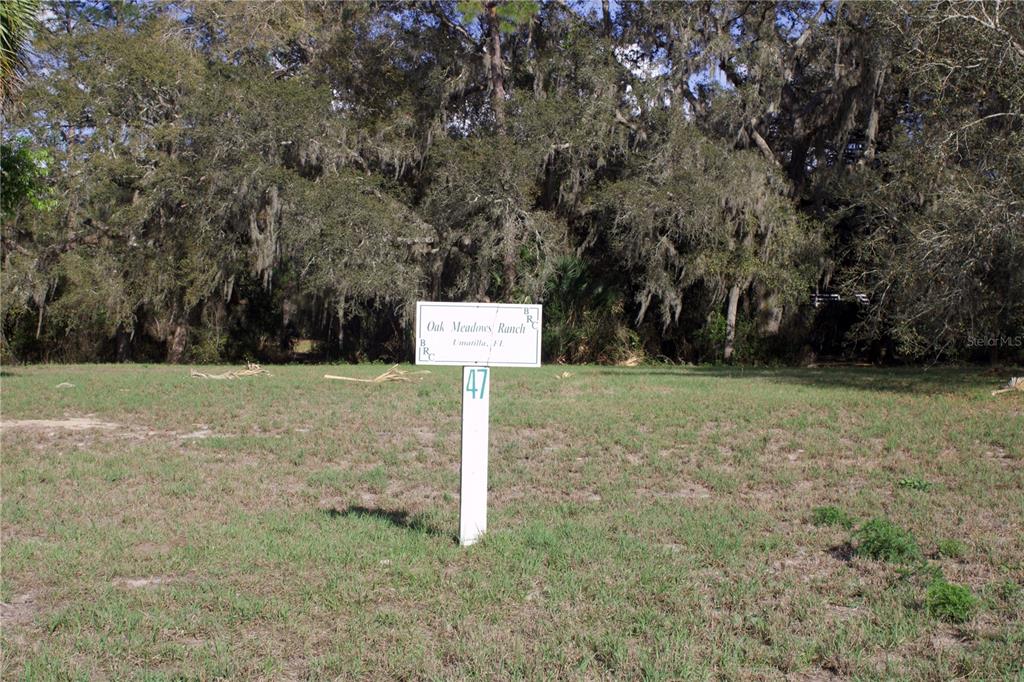 Ridge Road, Unit 47 Tavares, FL 32778 - Photo 36 of 41