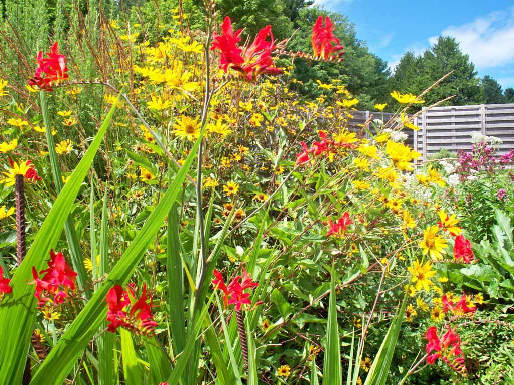 219 North End Road Tinmouth, VT 05757 - Photo 3 of 35 Gallery Image 3