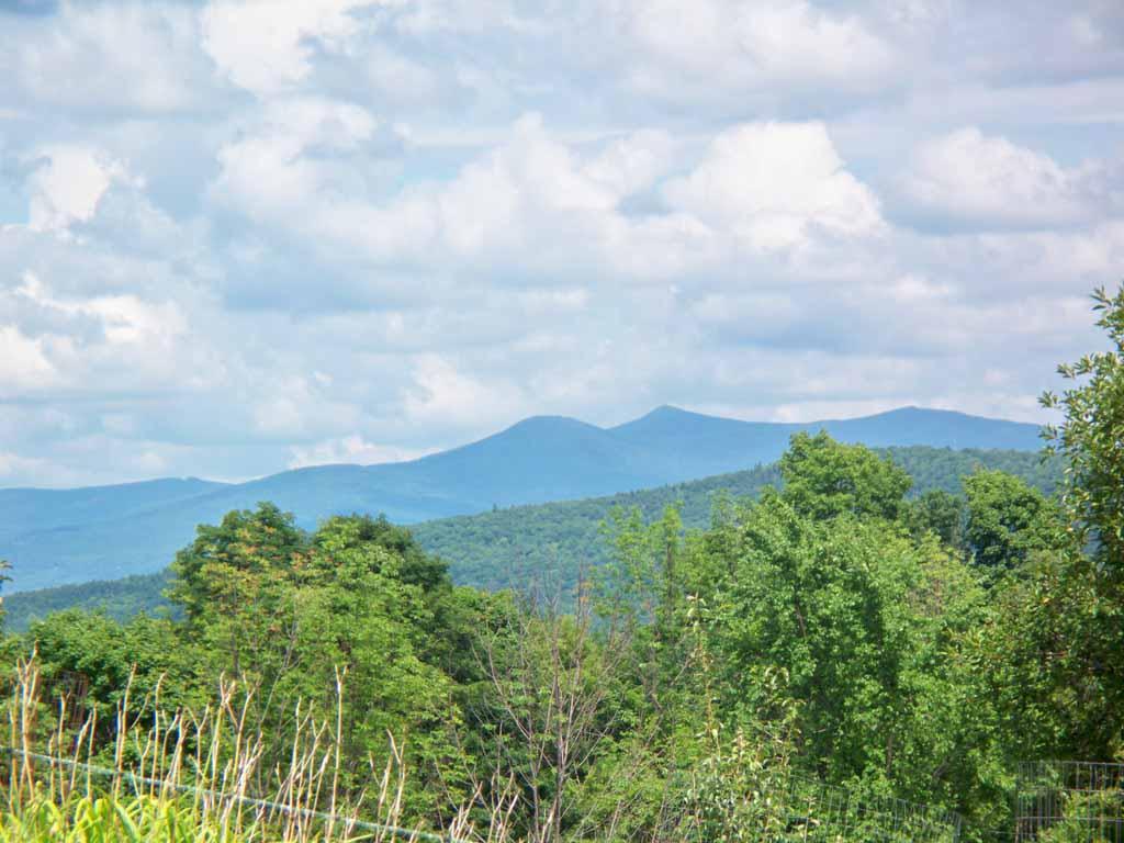 219 North End Road Tinmouth, VT 05757 - Photo 4 of 35 Gallery Image 4