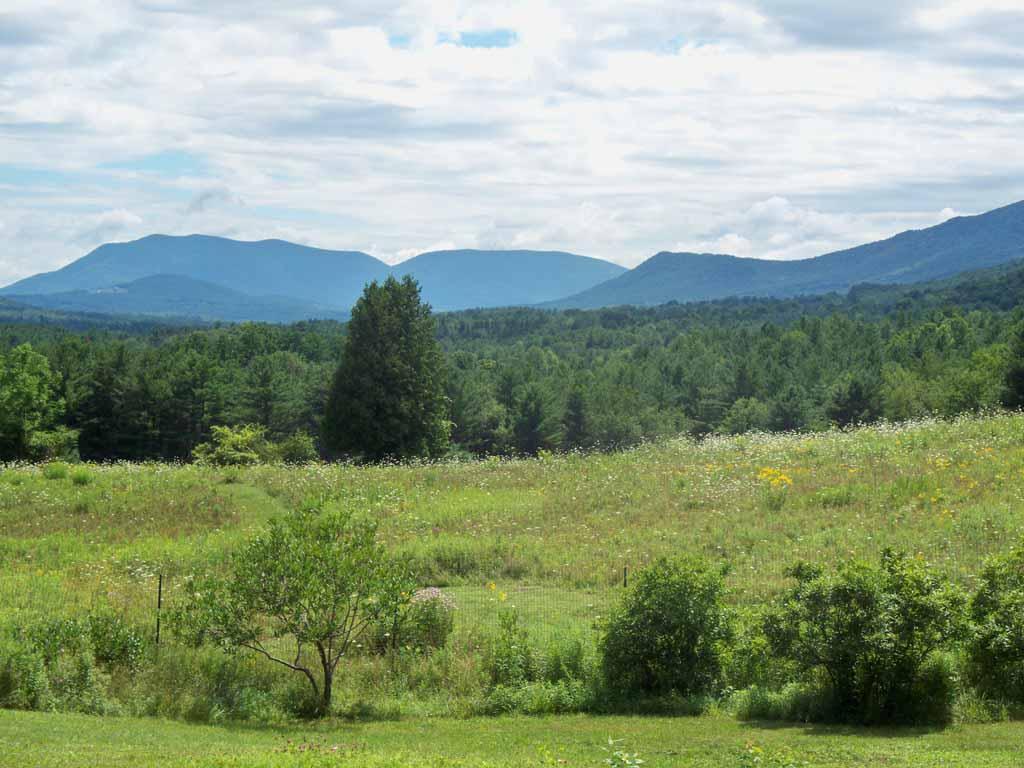 219 North End Road Tinmouth, VT 05757 - Photo 5 of 35 Gallery Image 5