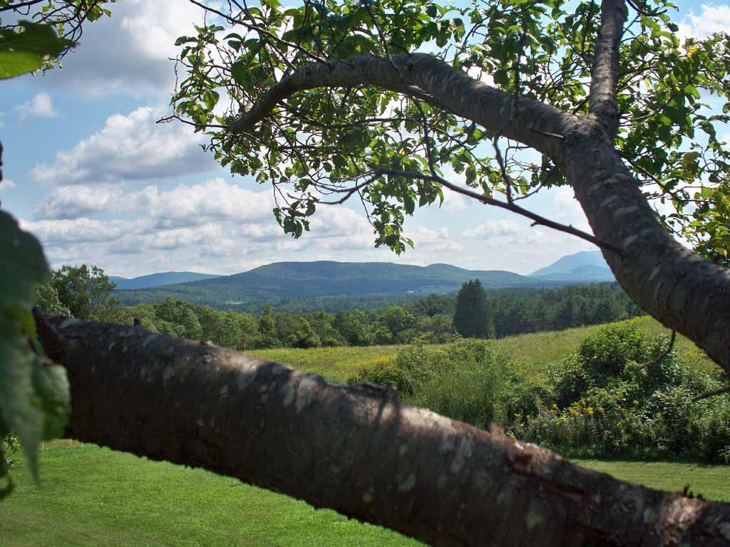 219 North End Road Tinmouth, VT 05757 - Photo 10 of 35 Gallery Image 10