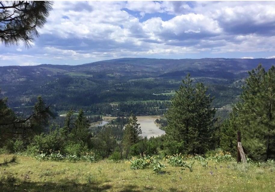 2584 Bridgeman-Rettinger Road Kettle Falls, WA 99141 - Photo 2 of 12 Gallery Image 2