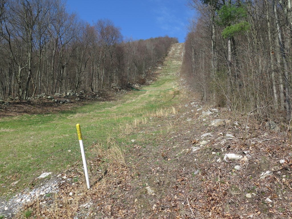 0 Mountain Road James Creek, PA 16657 - Photo 3 of 6 Gallery Image 3