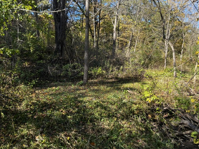 23976 West Beach Grove Road Antioch, IL 60002 - Photo 9 of 13 a view of outdoor space and a yard