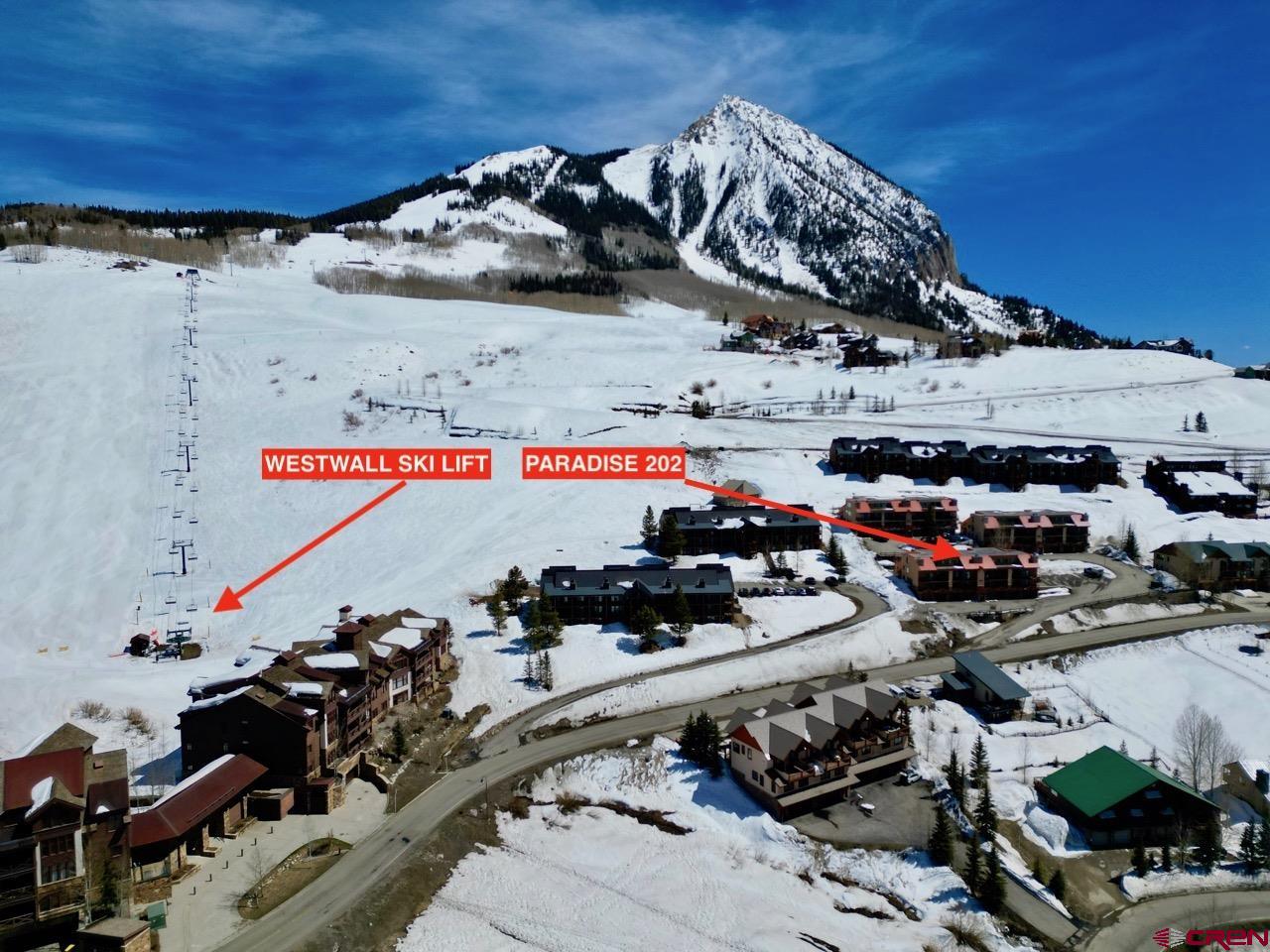 20 Hunter Hill Road, Unit 202 Crested Butte, CO 81225 - Photo 4 of 25