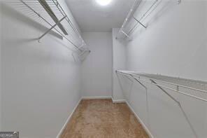 3686 Claredun Court Cumming, GA 30040 - Photo 19 of 29 a view of a room with racks on the wall