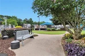 a view of a garden with plants and large trees