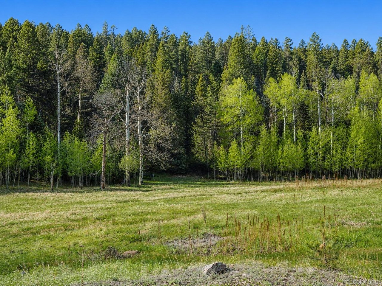1 Co Road Westcliffe, CO 81252 - Photo 5 of 42 Summer