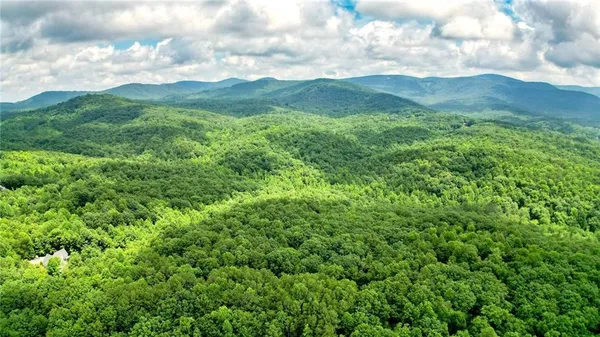 a view of a city and lush green forest