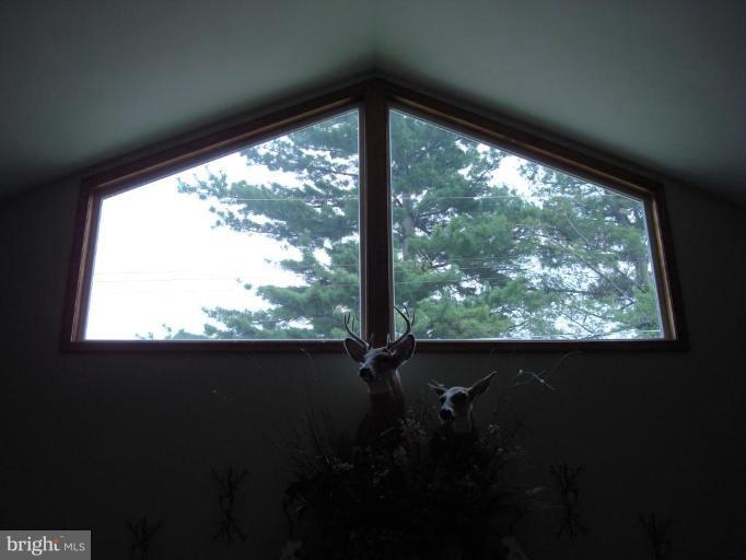 1919 Tyler Road Dundalk, MD 21222 - Photo 26 of 30 Custom Windows for the Great Room