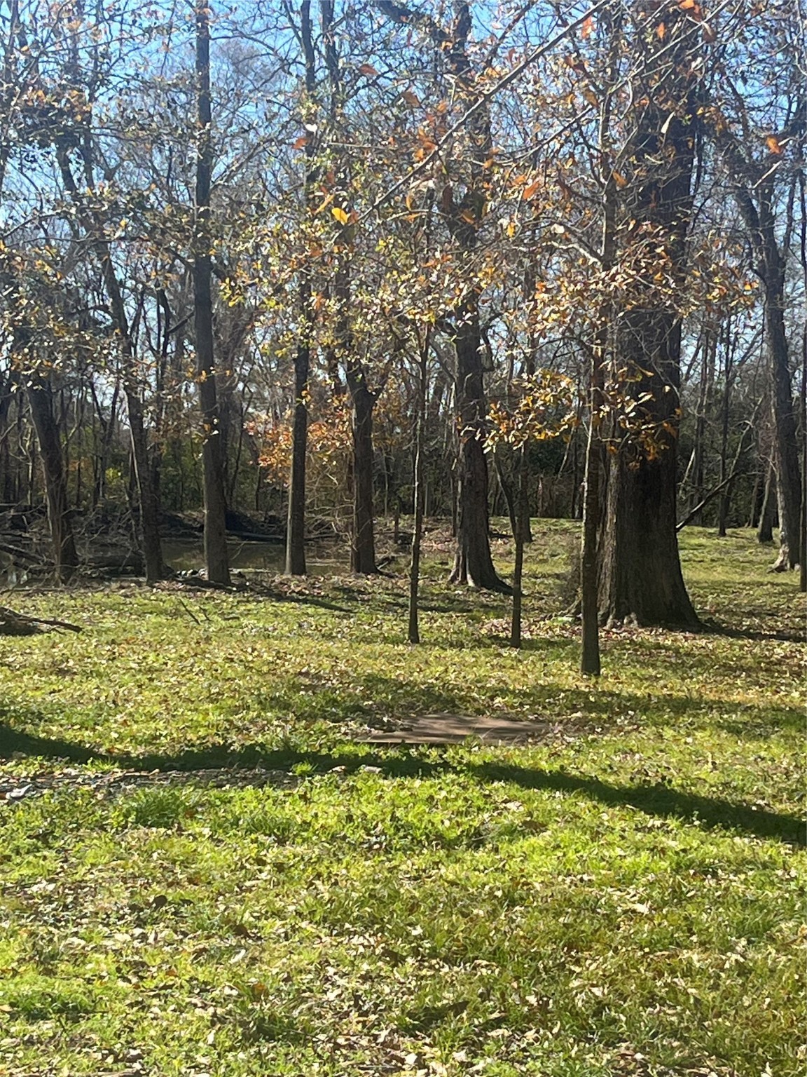 0 McGregor Road Conroe, TX 77302 - Photo 3 of 14