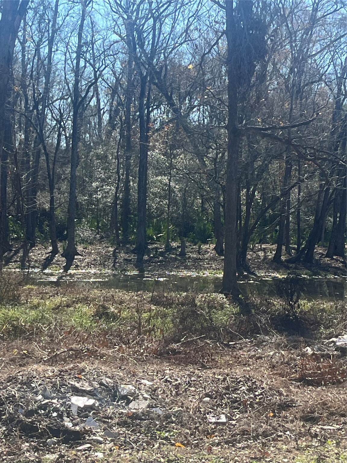 0 McGregor Road Conroe, TX 77302 - Photo 4 of 14