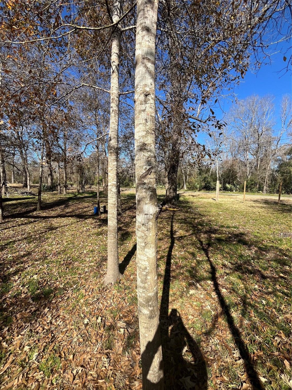 0 McGregor Road Conroe, TX 77302 - Photo 6 of 14