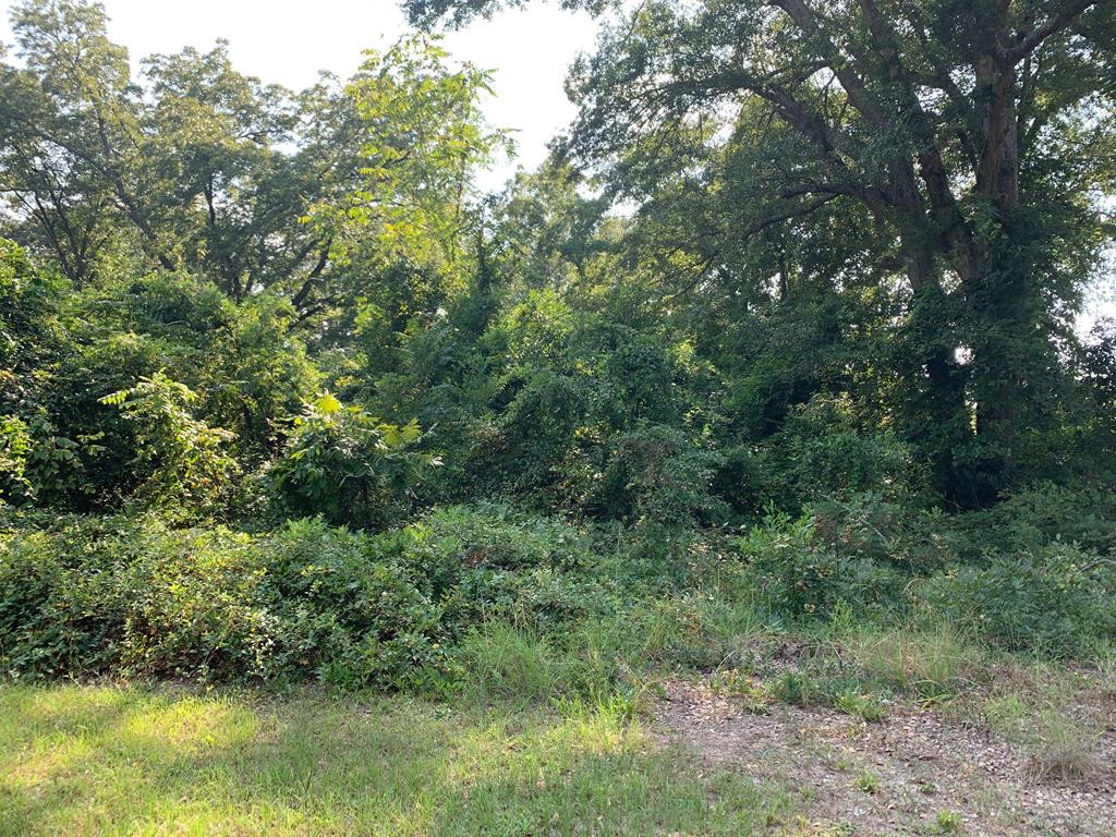 355 Academy Street Monetta, SC 29105 - Photo 1 of 4 Gallery Image 1