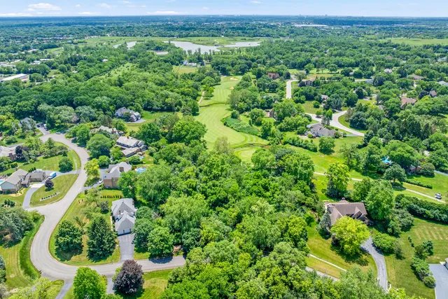 view of a lush green field with lots of bushes