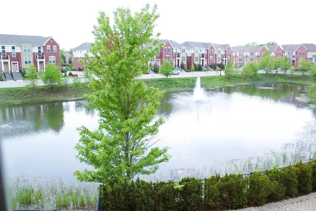 a view of a lake with a building in the background
